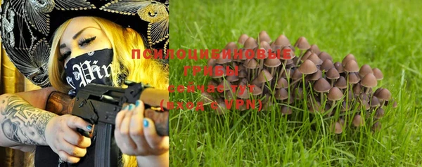 ALPHA-PVP Новокубанск
