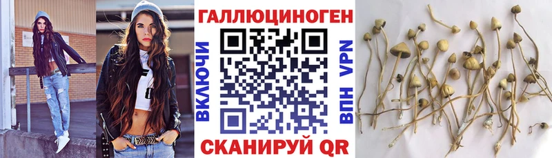 Галлюциногенные грибы Magic Shrooms  Купить закладки  Данилов 